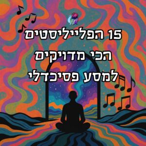 פלייליסטים מדוייקים למסעות פסיכדלים
