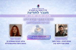 טיפול נתמך פסיכדלים דרך עיני המטופלות.ים מדברים פסיכדליה